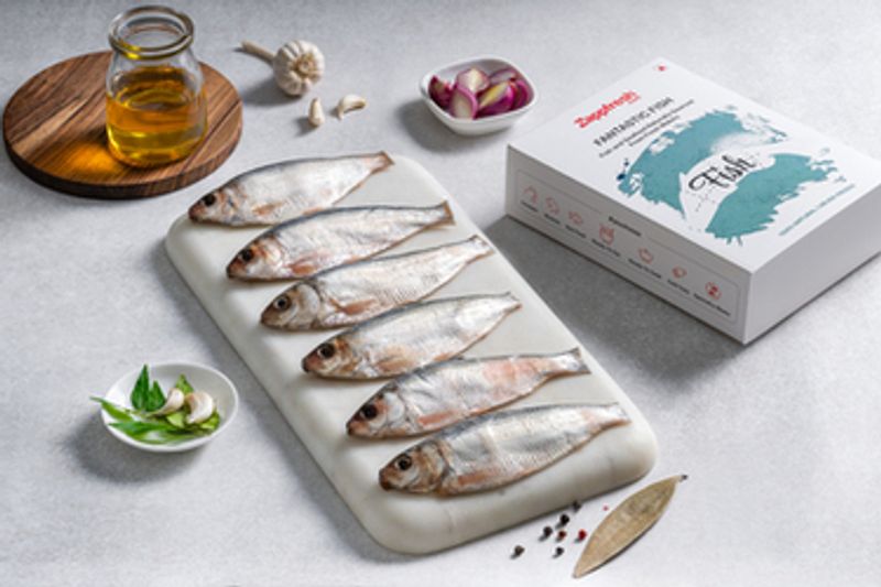 Sardine