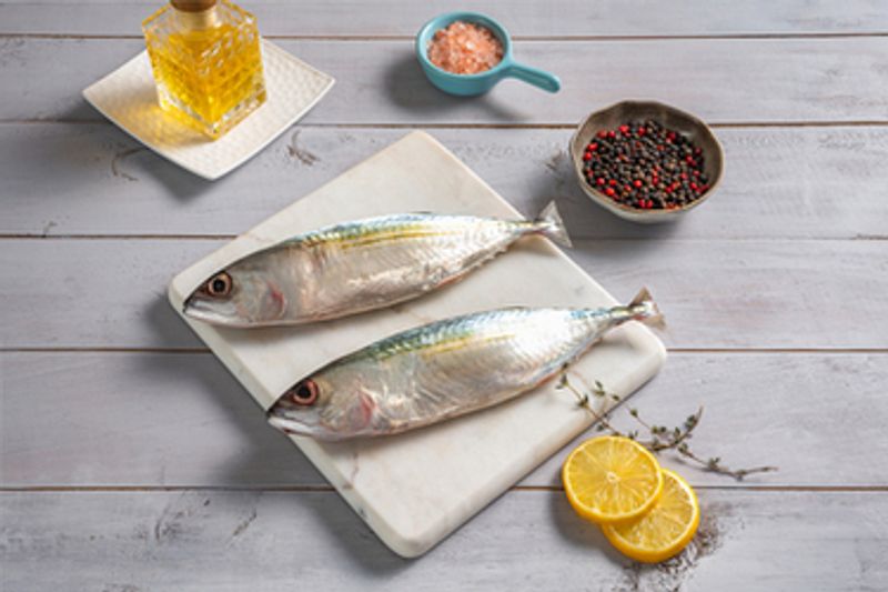 Mackeral