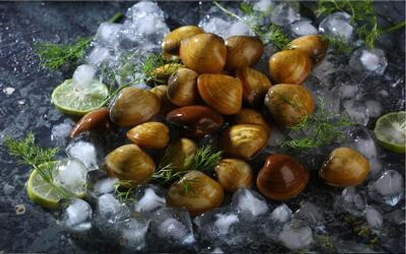 Shimpi (Clams)