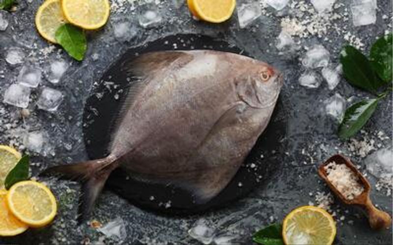 Black Pompfret Whole