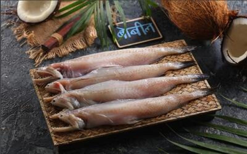 Bombay Duck Whole