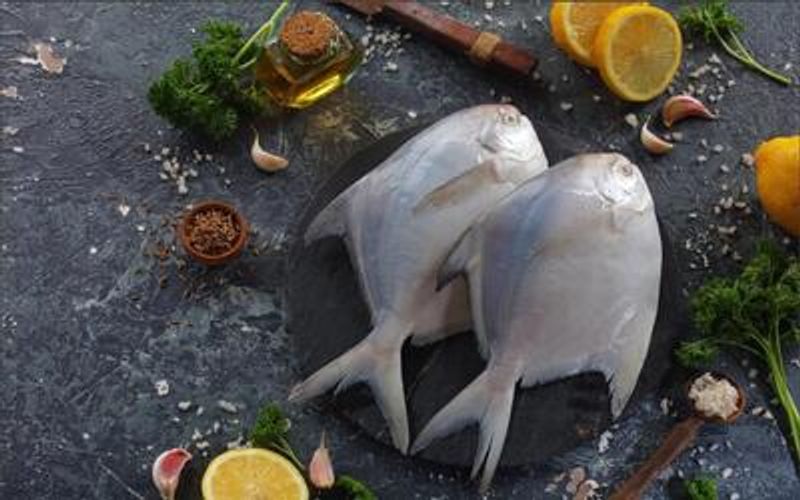 Silver Pompfret Whole