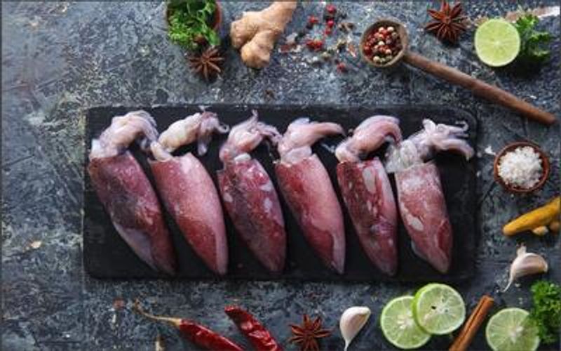 Squids Whole