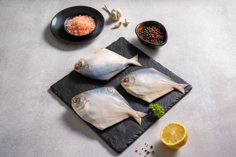 White Pomfret Fish Whole